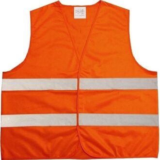 Lifetime 1x Oranje veiligheidsvest voor volwassenen - One size
