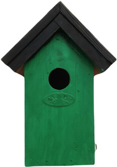 Lifetime Garden Houten vogelhuisje/nestkastje 22 cm - zwart/groen Dhz schilderen pakket - Vogelhuisjes Multikleur