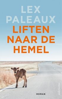 Liften naar de hemel - Lex Paleaux - ebook