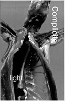 Light - Lindgren, Torgny