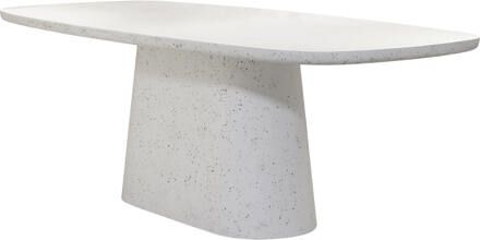 Light & Living Deens Ovale Eettafel 'Hamura' Terrazzo, 220 x 105cm - 220 x 105 cm
