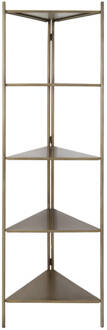 Light & Living Kast DISPLAY - 58.5x41x200cm - Brons