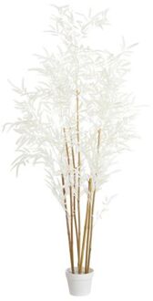 Light & Living Kunstplant BAMBOO - 70x60x150cm - Bruin