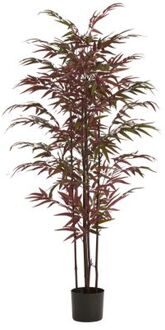 Light & Living Kunstplant BAMBOO - 70x60x150cm - Groen