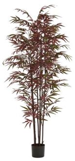 Light & Living Kunstplant BAMBOO - 70x60x180cm - Groen