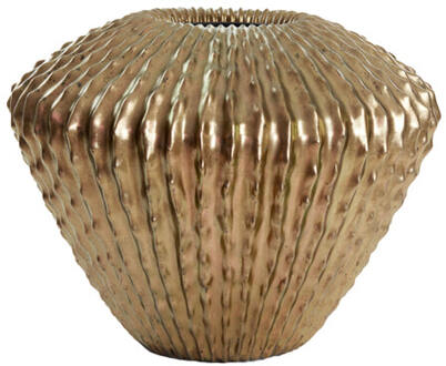 Light & Living Vaas CACTI - 66x66x53 - Goud