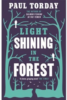 Light Shining in the Forest