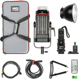 Light Storm LS C300D II V-Mount Kit