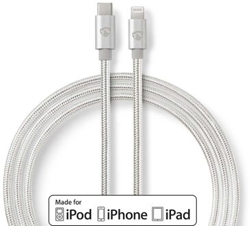 Lightning Kabel - CCTB39650AL10 Zilverkleurig