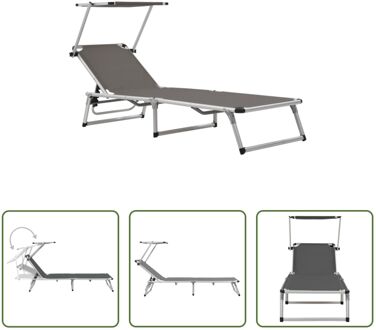 Ligstoel Tuinmeubels - 186 x 58 x 25.5 cm - Verstelbaar en inklapbaar Grijs