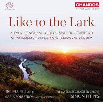 Like To The Lark - Jennifer Pike