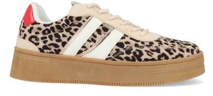 Lily C1152148APSH1 Beige maat