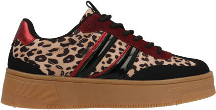 Lily C1152148APSH3 Zwart / Leopard-38 maat 38