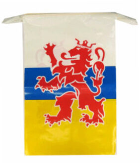 Limburg provincie slingers - 10 meter - Limburg versiering / vlaggenlijn - kunststof Multi