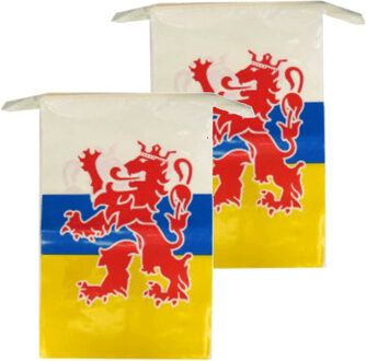 Limburg provincie slingers - 2x - 10 meter - Limburg versiering / vlaggenlijn - kunststof Multi