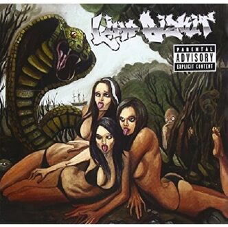 Limp Bizkit - Gold Cobra
