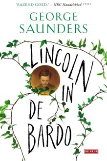 Lincoln in de bardo - eBook George Saunders (9044539213)