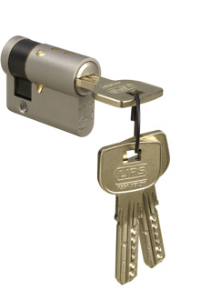 Lips Vanguard S8401 Enkele europrofielcilinder 17mm | SKG** | 20mm verlengd | 60 mm - 10020145