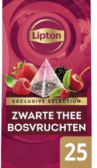 Lipton Exclusive selection thee bosvruchten - 25 Pyramide zakjes