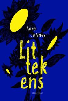 Littekens - Boek Anke de Vries (9047707788)