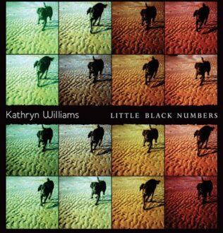 Little Black Numbers