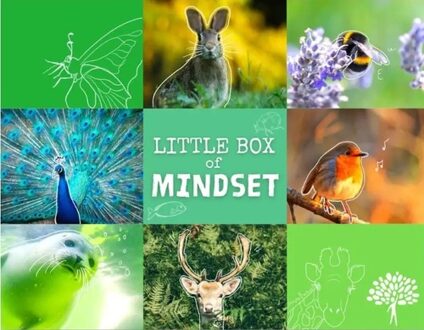 Little Box of Mindset -  Meindert Tjerkstra (ISBN: 9789083077949)
