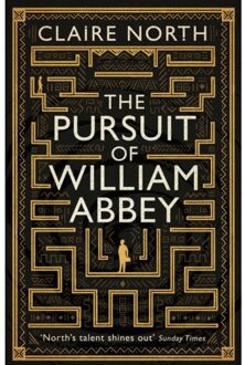 Little, Brown The Pursuit of William Abbey