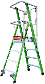 Little Giant Safety Cage | 10 Treden - 48416610