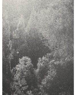 Little Suns On Earth - Pablo Cabado