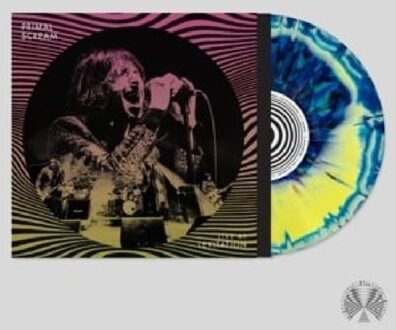 Live At Levitation - Primal Scream