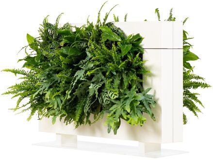 LiveDivider PLUS 1 wit, de groene roomdivider