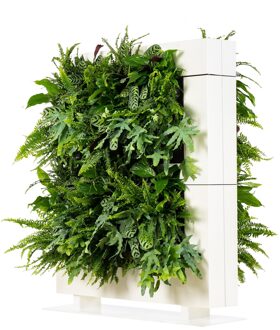 LiveDivider PLUS 2 wit, de groene roomdivider