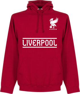 Liverpool Team Hoodie - Rood