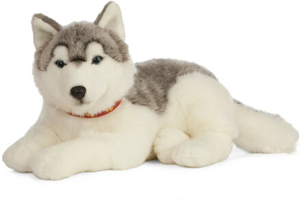 Living nature Honden speelgoed artikelen Husky knuffelbeest grijs/wit 60 cm