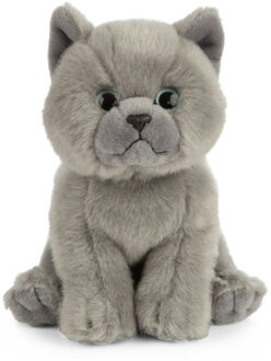 Living nature Kat knuffel - Britse korthaar - grijs - pluche - 16 cm - poes knuffeldier
