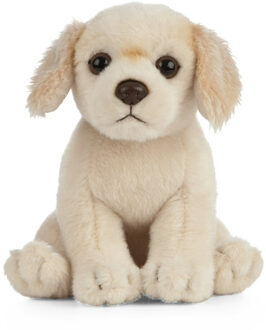 Living nature Pluche Golden Retriever honden knuffel 16 cm speelgoed Creme