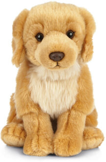 Living nature Pluche Golden Retriever Honden Knuffel 20 Cm Zittend - Golden Retriever Huisdieren Knuffels - Speelgoed