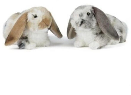 Living nature Speelgoed knuffel konijntjes 30 cm