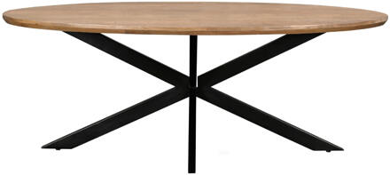 Livingfurn Ovale Eettafel 'Jesper' Mangohout, 160 x 90cm - 160 x 90 cm