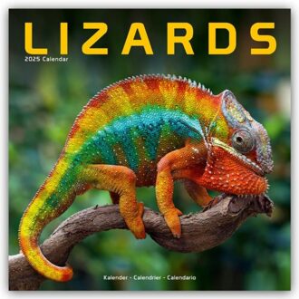 Lizards Calendar 2025 Square Animal Wall Calendar - 16 Month - Browntrout Wandkalender - Avonside Publishing Ltd