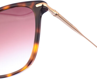 LO660S Acetaat zonnebril met vlindervorm voor dames Bruin - One Size