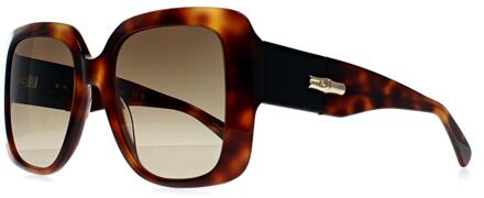 LO713S 230 havana bruin gradiënt zonnebril - maat