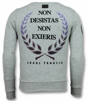 Local Fanatic Doodskop Trui - Skull Rhinestone Sweater Heren - Grijs - Maten: S