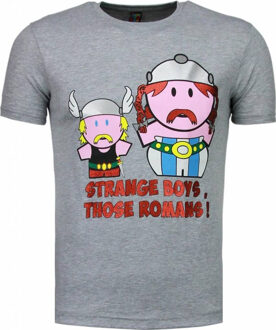 Local Fanatic Romans t-shirt Grijs - S