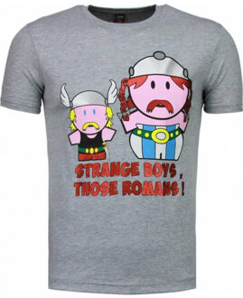 Local Fanatic Romans t-shirt Grijs - S