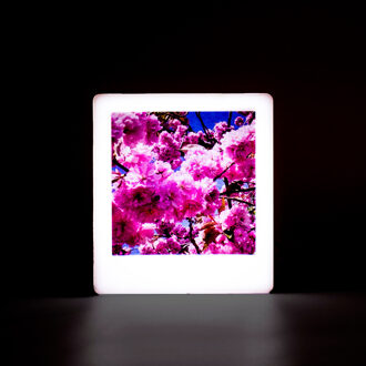 Locomocean Magnetic Rose Gold Mini Photo Light Box