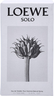 Loewe Solo Pour Homme Edt Spray100 ml.