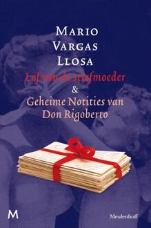 Lof van de stiefmoeder en geheime notities van Don Rigoberto - Boek Mario Vargas Llosa (9029087501)