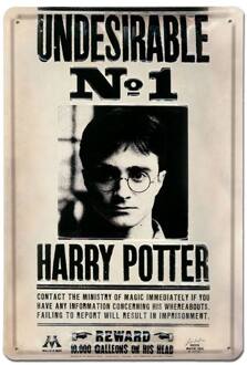 Logoshirt Harry Potter 3D Tin Sign Undesirable No 1 20 x 30 cm