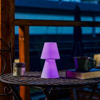 Lola 20 LED tafellamp met oplaadbare batterij wit